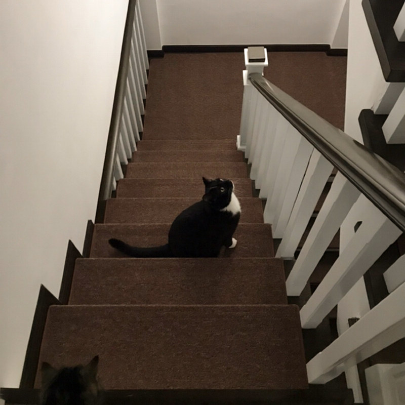 纯色家用实木楼梯防滑踏步垫免胶自粘旋转阶梯贴楼梯地毯定制满铺,淘宝优惠券,粉丝福利购,淘宝优惠卷