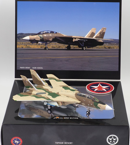 CALIBRE WINGS F14 F-14A 雄猫 NFWS/NSAWC TOPGUN 沙漠迷彩 - 图1