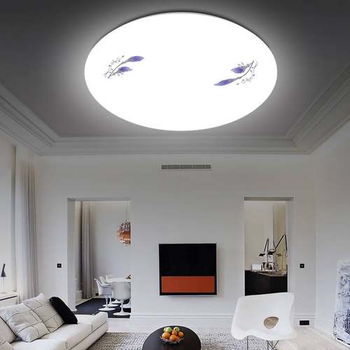 吸顶灯LED超亮家用客厅卧室厨房灯具圆形楼梯阳台简约面包灯圆灯 - 图1