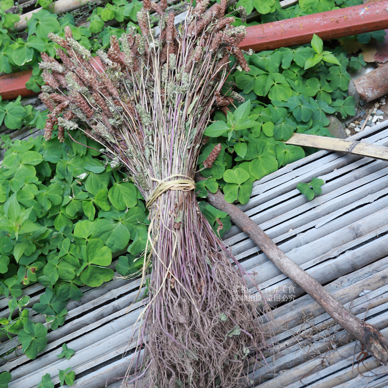 山区夏枯草干全草带根夏枯草500g农家新鲜晒无硫干货夏古草夏枯球 - 图0