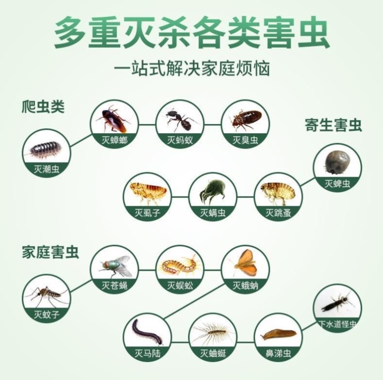 跳蚤药杀虫剂床上家用室内无毒喷雾剂地毯除螨驱虫床垫除虫专用灭 - 图2