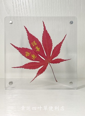 幸运四叶草便利店枫叶标本亚克力相框装饰创意教师节礼物桌面摆件