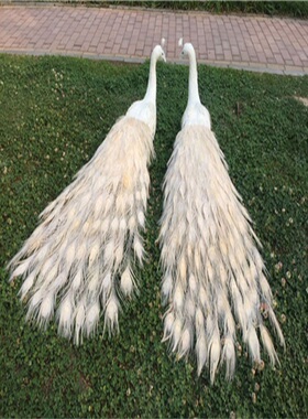 纯手工制作仿真孔雀摆件