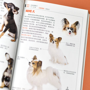 ປຶ້ມຮູບແຕ້ມຂອງໝາທີ່ມີຊື່ສຽງ ລັກສະນະ ແລະນິໄສຂອງ 160 ສັດລ້ຽງທີ່ນິຍົມໝາ ຄວາມຮູ້ວິທະຍາສາດຍອດນິຍົມ Encyclopedia Feeding Knowledge Diet Care Dog Lovers Application Manual Family Parenting Science Book Popularization