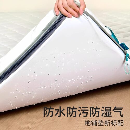 防潮地铺睡垫地上睡觉专用床垫榻榻米可折叠可收纳打地铺神器褥子 - 图2