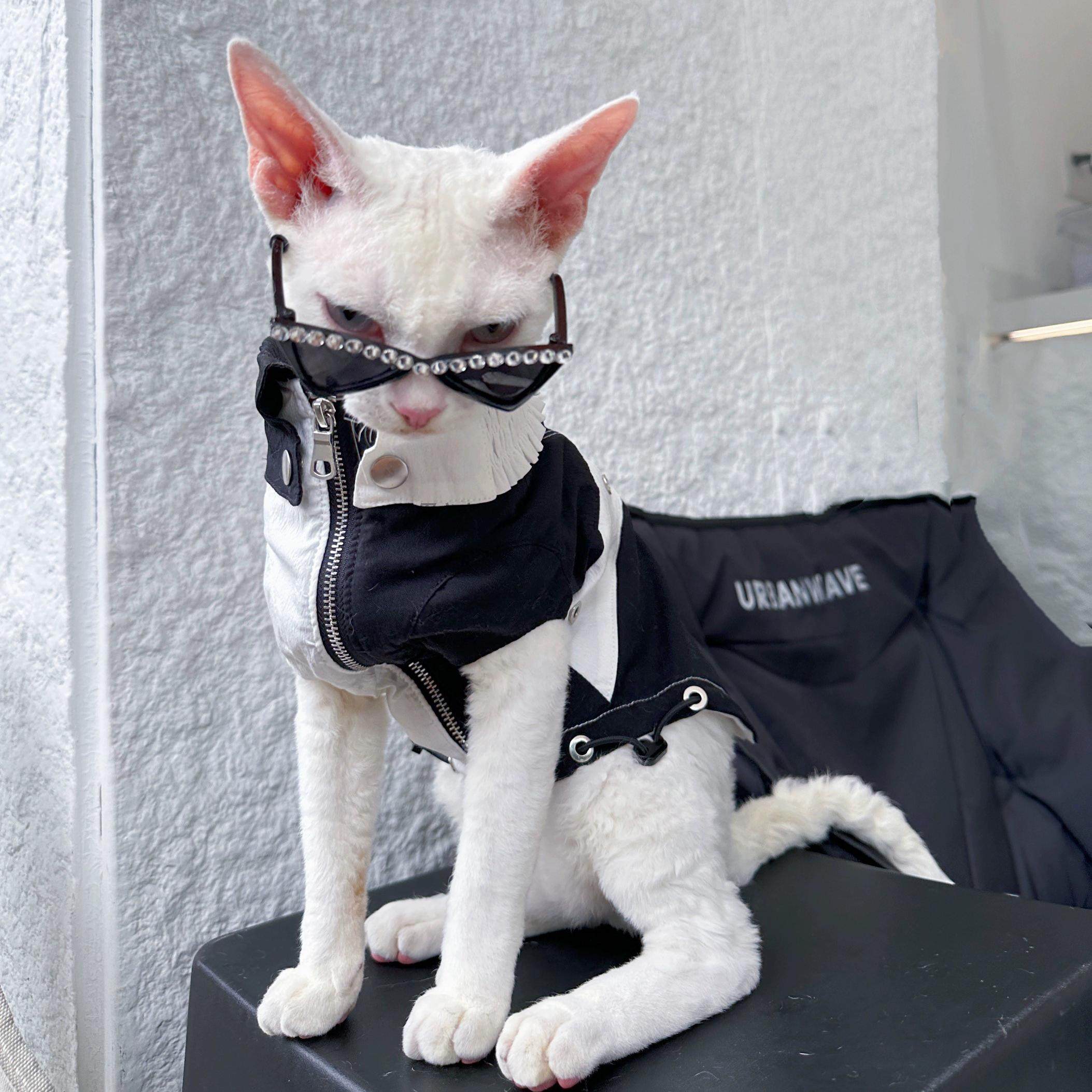 新品宠物高级眼镜狗狗闪钻泰迪约克夏马尔济斯西施三角墨镜宠物,淘宝优惠券,粉丝福利购,淘宝优惠卷