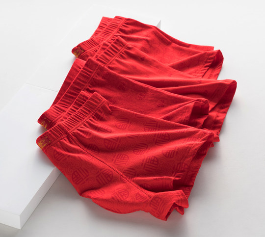 Couple Fuzi Leica Marriage Plus Fat Plus Large Size Underwear