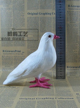 鸽子挂件教学工艺品仿真动物