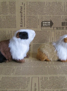 教学模具动物学生认知仿真仓鼠