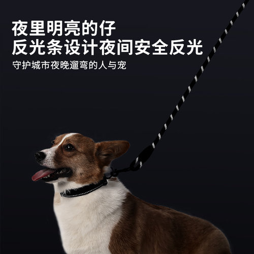 狗狗牵引绳遛狗绳泰迪比熊柯基小中大型犬宠物狗绳牵引绳小型犬 - 图3