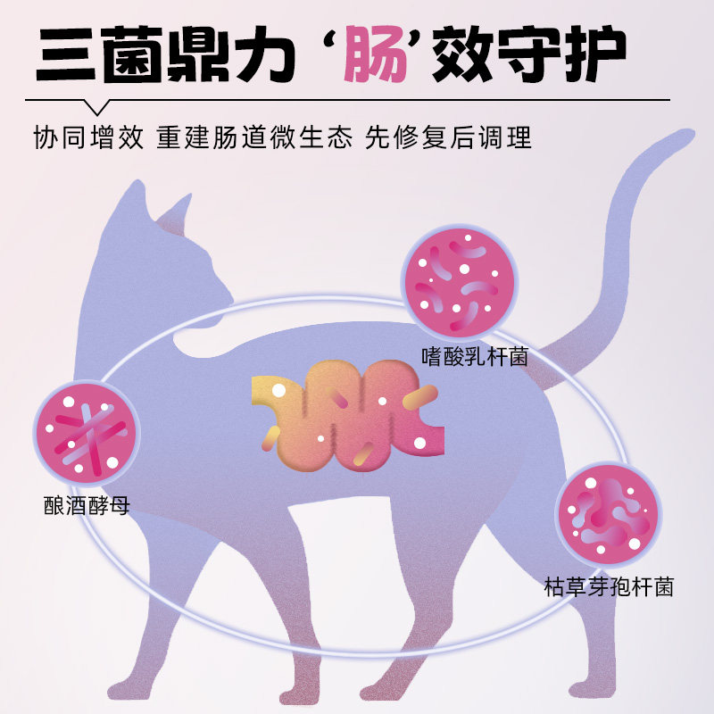  如云宠物用品猫/狗保健品