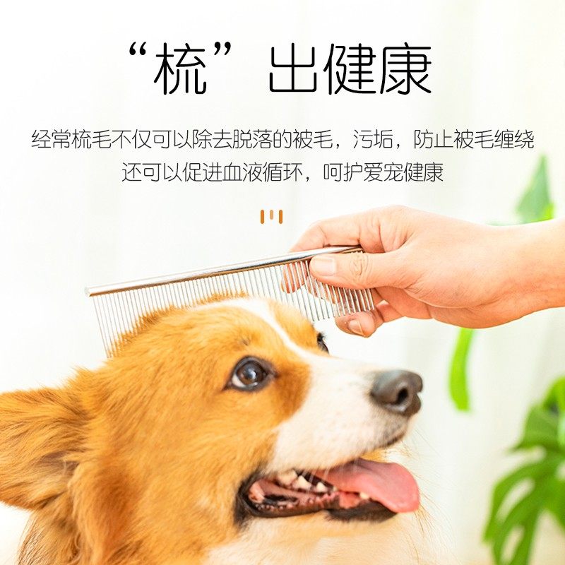 狗狗排梳子泰迪专用小型犬比熊博美开结梳美容用品不锈钢密齿排梳,淘宝优惠券,粉丝福利购,淘宝优惠卷