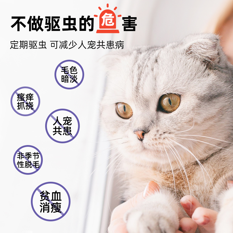 【U先派样】猫咪体外驱虫药滴剂 除跳蚤虱子蜱虫 - 图0