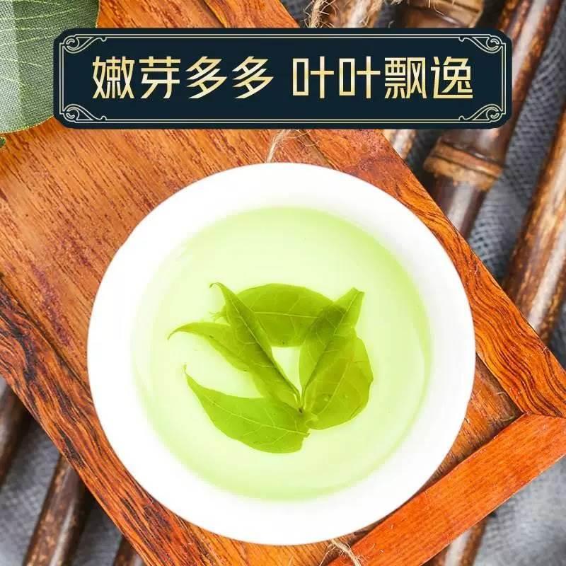 余庆小叶苦丁茶2024新茶野生特级正品青山绿水500g大叶苦丁降火茶-图2