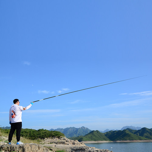 龙魂鲤鱼竿买一赠一碳素手竿长节台钓竿28调超轻超硬套装组合全套 - 图0