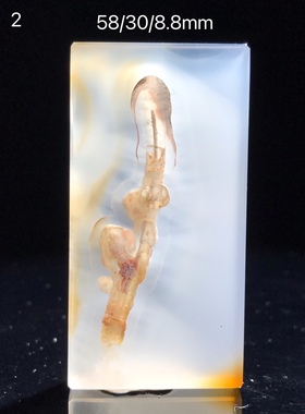 天然海洋玉髓原石毛衣链玛瑙吊坠