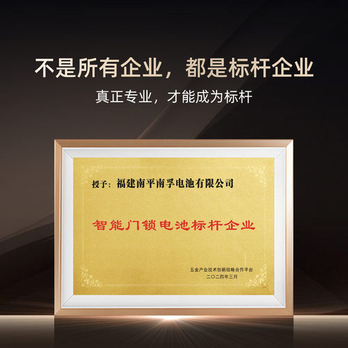 南孚电池5号爱掌门智能门锁电池碱性密码锁电子锁指纹锁专用电池五号汽车遥控鼠标电池批发8粒 - 图3