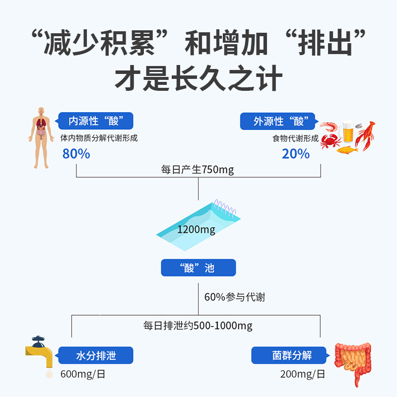 华大优美达清风益生菌固体饮料守护健康成人活菌肠道肠胃尹烨推荐