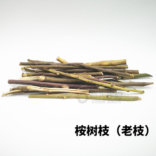 蜜袋鼯用品桉树叶枝桉叶树叶臭虫蜜袋鼬鼬鼠祛味驱虫生活用品全套 - 图0