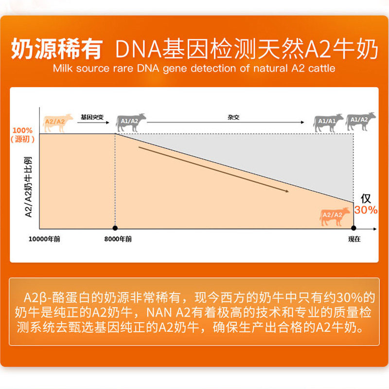 斯诺宝海外专营店荷兰雀巢能恩a2超级蛋白奶粉3段800g婴儿牛奶粉三段可购2段原装3