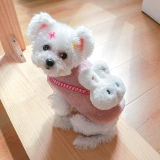 Собачья одежда зима сгущенной хлопчатобумажной