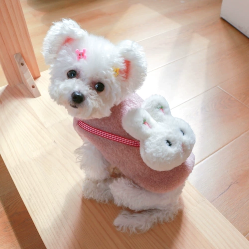 Собачья одежда зима сгущенной хлопчатобумажной