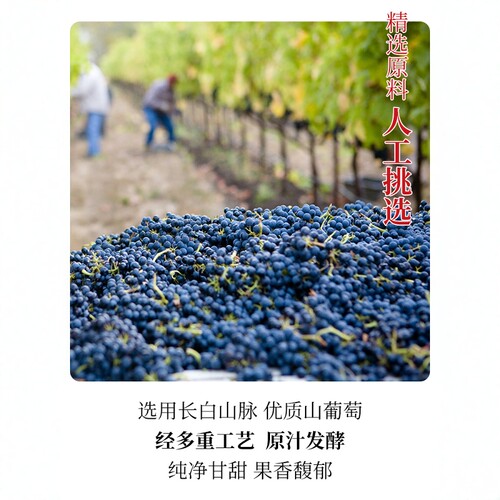 小白山红葡萄酒女生水果酒红酒聚会小瓶装低度甜型酒整箱正品礼盒 - 图2