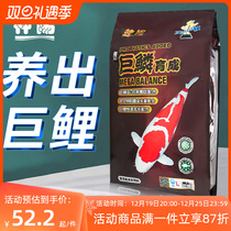 Shenyang Giant Scale Brocade Carp Feed Gold Fish Butterfly Carp grain Yukon Bone Bully color increase body low water temperature fish food