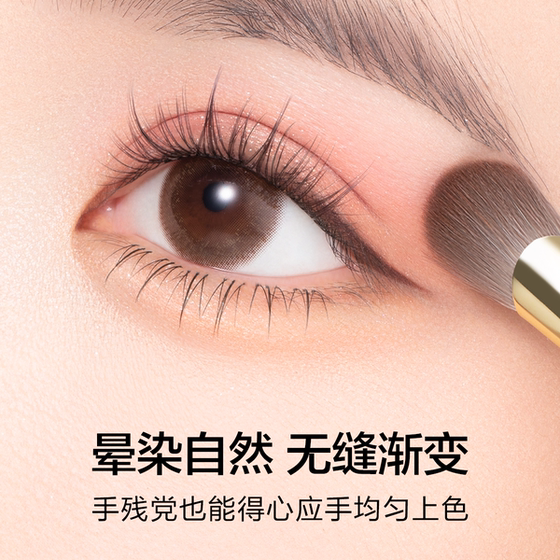 Wool eyeshadow brush set recommended by beginners for natural blending