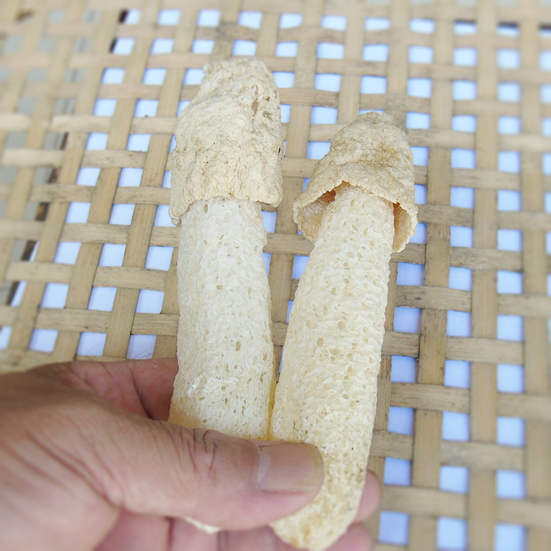 竹荪新货农家无裙竹孙菇江西井冈山特产无硫竹菇蕾竹笙250克包邮 - 图1