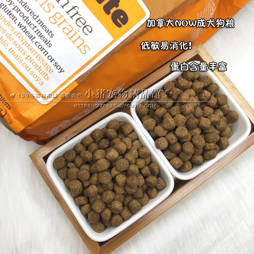 NOW无谷天然成犬狗粮宠物营养益生菌无谷鸭肉三文鱼犬粮6/12/25磅 - 图0