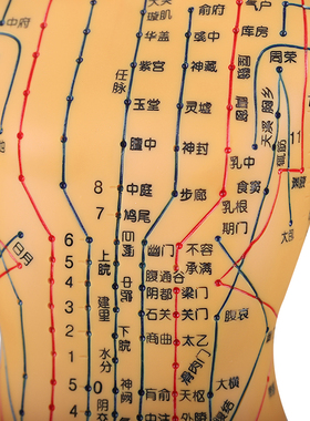 中医穴位图人体十二经络数字模型