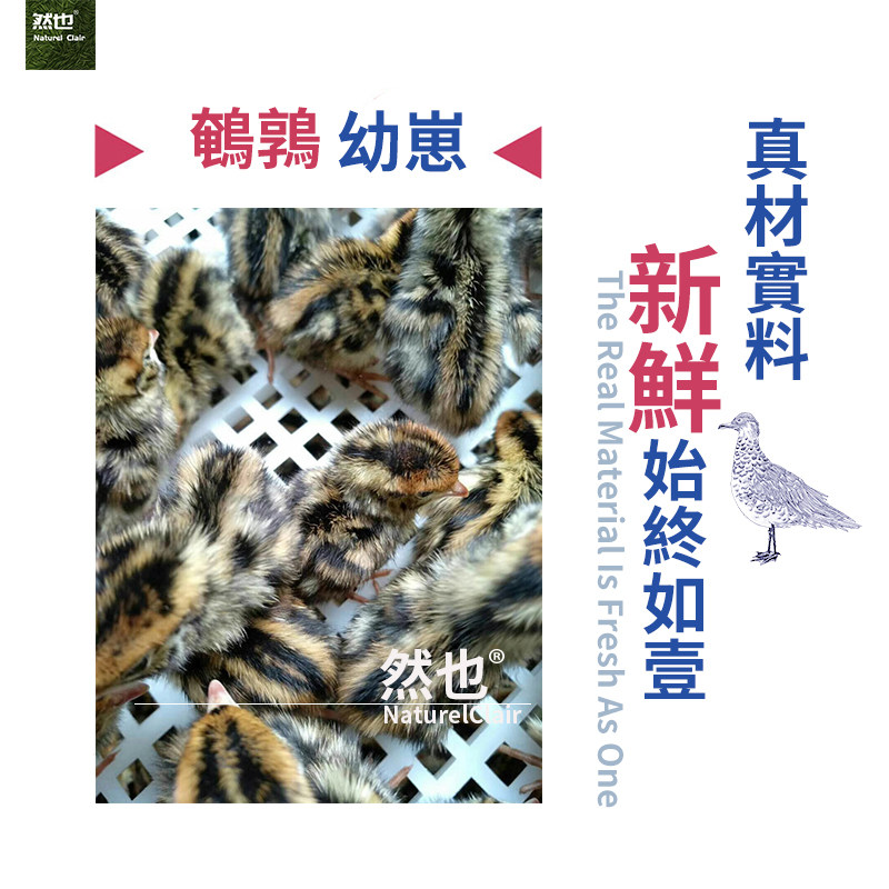 然也冻干鹌鹑抖音网红小鹌鹑补钙发腮补充营养 冻干生骨肉猫零食,淘宝优惠券,粉丝福利购,淘宝优惠卷