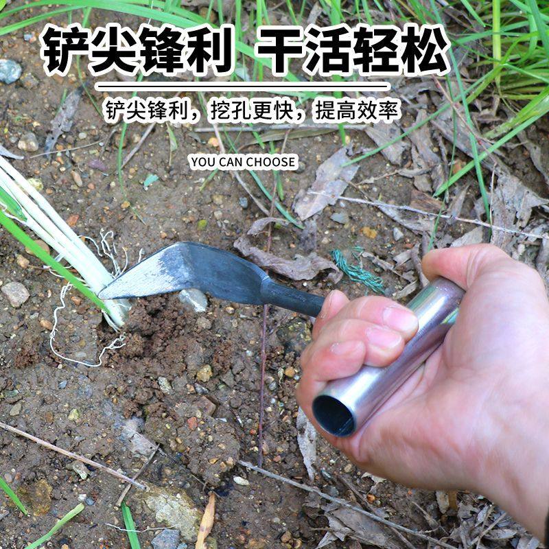 栽苗洋葱栽苗器栽洋葱苗工具种洋葱小铲子栽洋葱,淘宝优惠券,粉丝福利购,淘宝优惠卷