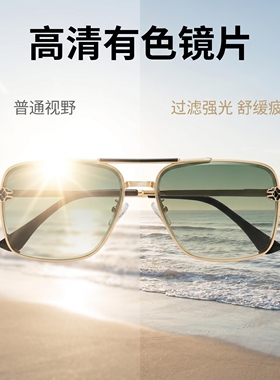 2026新款飞行员复古遮阳太阳镜
