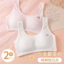 Girl Lingerie Hair Birth Pure Cotton Bra Elementary School Pupils Early Teenage Girl Underwear Child Vest Winter