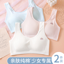 Girl Lingerie Hair Birth Pure Cotton Bra Elementary School Pupils Early Teenage Girl Underwear Girl Child Vest