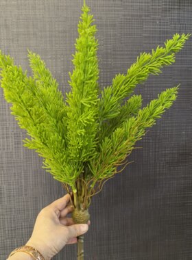 仿真狐尾天门冬米兰草花箱盆栽蕨类植物商场造景绿植墙装饰插小草