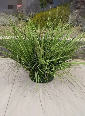 仿真造景假水草植物摆件