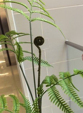 仿真金丝猴头蕨假绿植物室内微景观造景楼梯下走过道入户玄关装饰