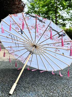 古风流苏飘带伞舞蹈走秀演出竹子
