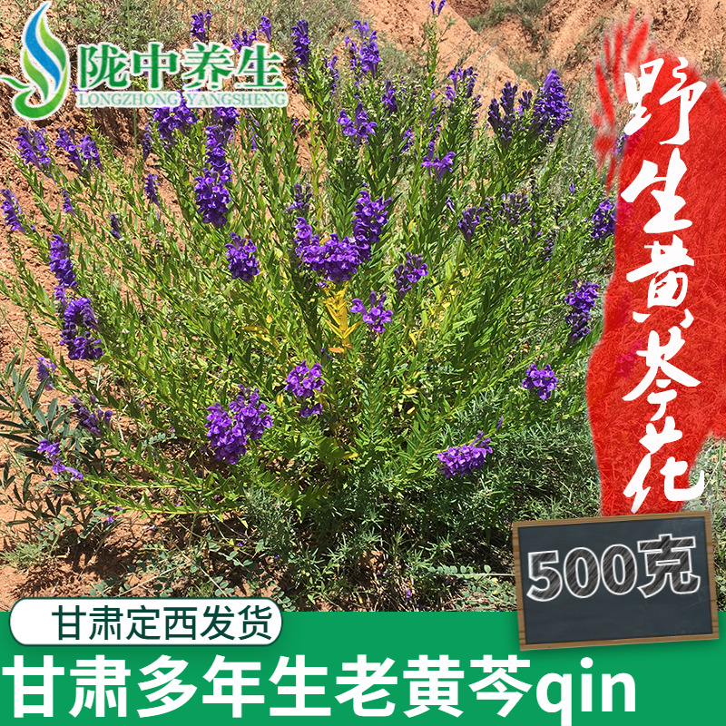 黄芩500g克野生中药黄岑黄芹黄苓片中药材黄芩茶中药黄芩-图0