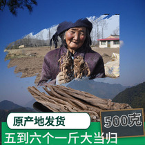 Total angelica Natural Non-wild Sulphur Free New Cargo of Gansu Minxian County 500g Angelica Root