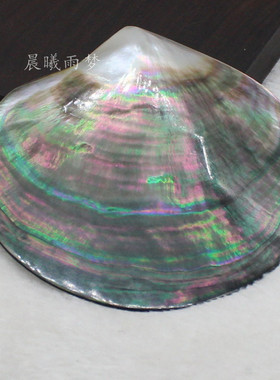 黑蝶贝自然风鱼缸造景diy饰品