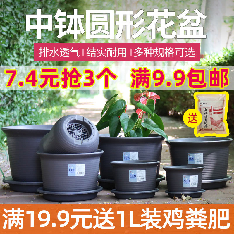 圆钵植物 新人首单立减十元 21年10月 淘宝海外