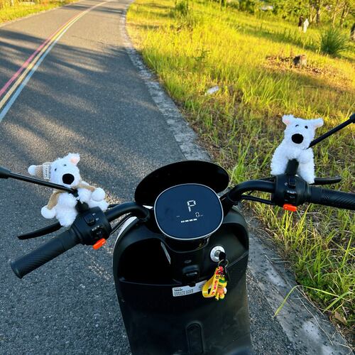 防盗电动车装饰西高地狗狗摩托装饰配件可爱电动车自行车创意挂件 - 图1