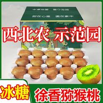 Shaanxi Eyebrow County Xu Fragrant Kiwi Fruit Peach Fresh Fruit When Season Full Box Macaque Peach Green Heart Chic Exotic Fruits
