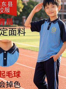 广东惠东县中小学夏季冰
