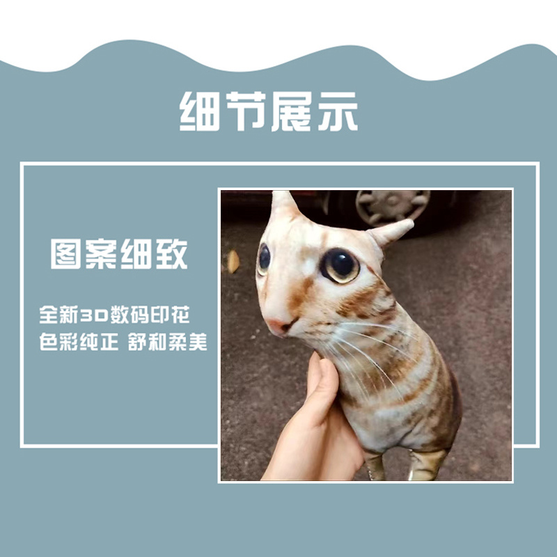 Wdiy人偶猫咪抱枕定制无白边玩偶无描边臭猫送朋友礼物自定义照片 - 图0