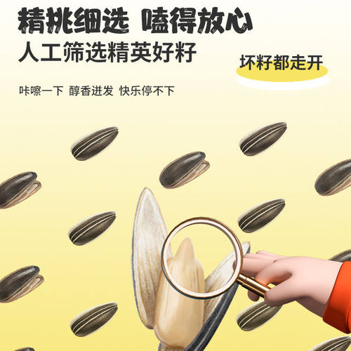 童年记瓜子原味瓜子250g五香味葵花籽瓜子独立当天拍当天炒当天发 - 图2